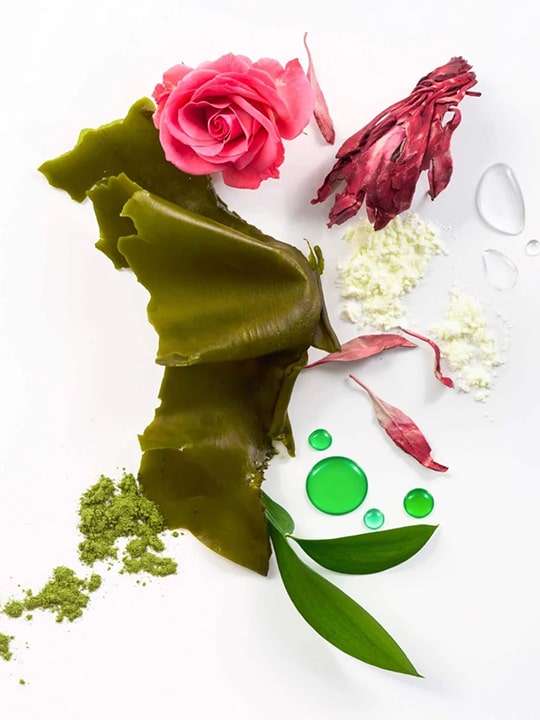 Shield Conditioner - obrazek 3