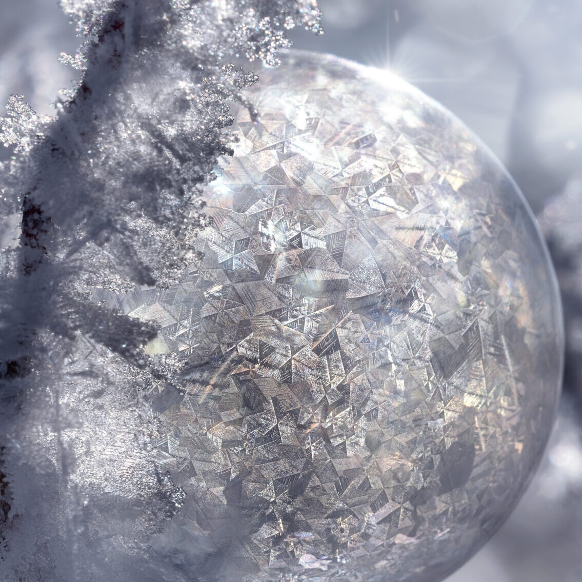 Macro Close-up of frozen soap bubble ice bubble backlight and sparkle effect background texture - christmas picture winter season